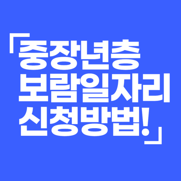 서울시 보람일자리